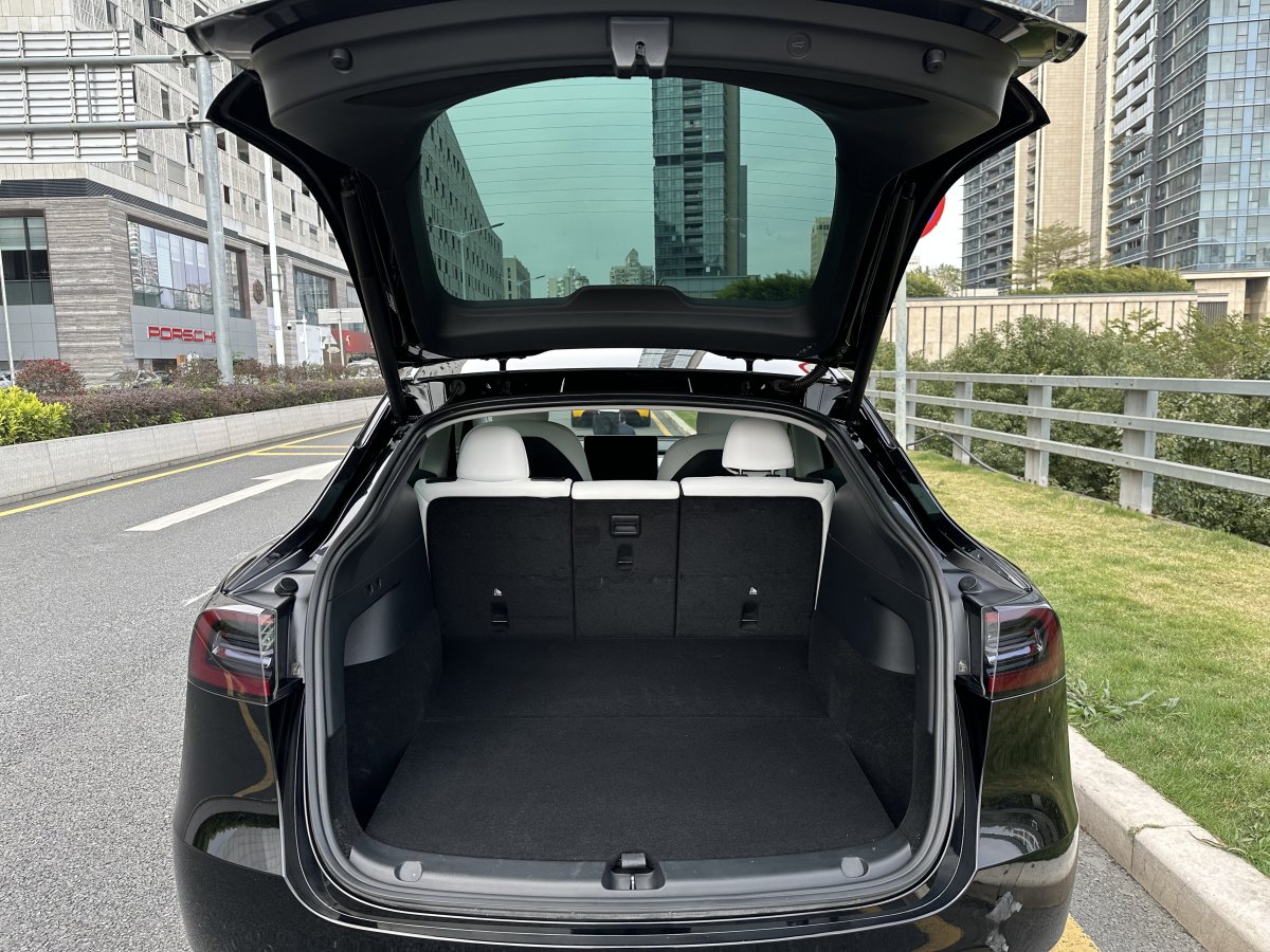 特斯拉 Model 3  2021款 改款 標準續(xù)航后驅升級版圖片