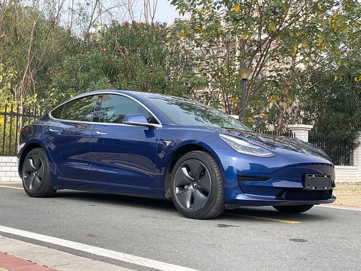 特斯拉 Model 3  2019款 標(biāo)準(zhǔn)續(xù)航后驅(qū)升級版圖片