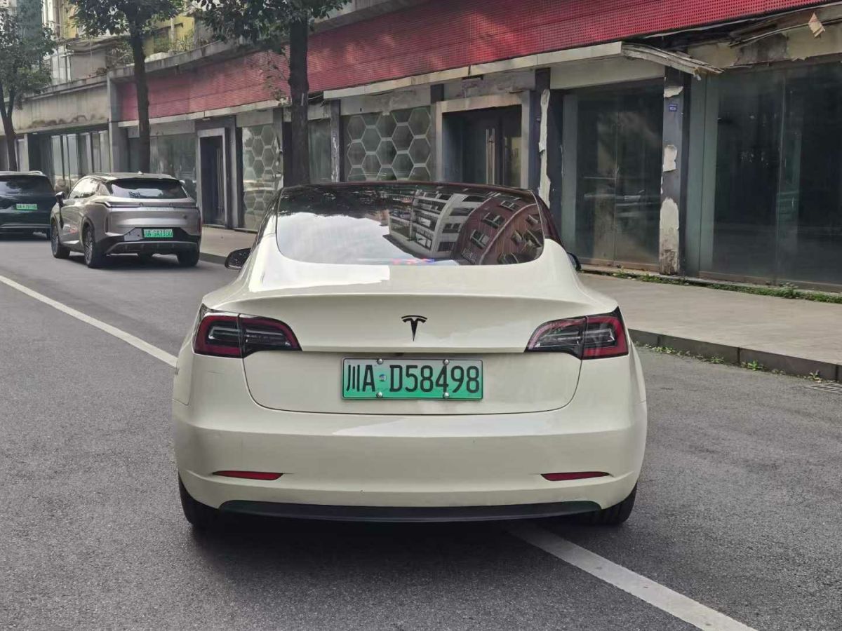 特斯拉 Model 3  2020款 標(biāo)準(zhǔn)續(xù)航后驅(qū)升級(jí)版圖片