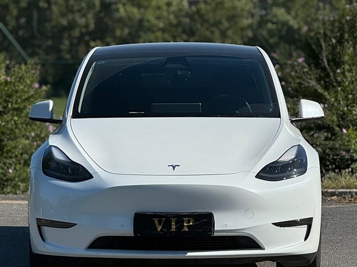 2021年6月特斯拉 Model 3  2021款 改款 長續(xù)航全輪驅(qū)動版