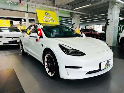 2021年11月 特斯拉 Model 3 标准续航后驱升级版 3D6图片