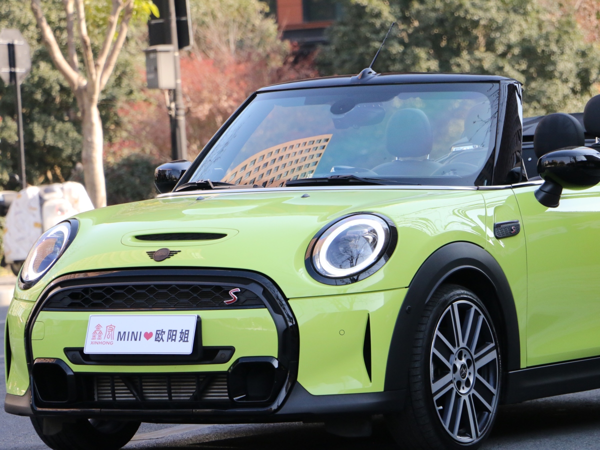 MINI MINI  2023款 改款 2.0T COOPER S CABRIO 藝術(shù)家圖片