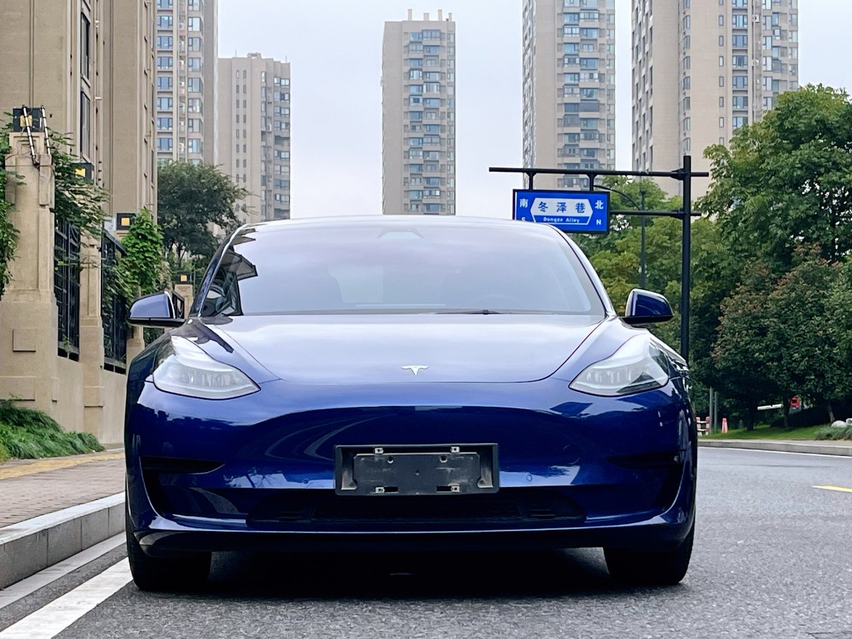 2022年1月特斯拉 Model Y  2021款 標(biāo)準(zhǔn)續(xù)航后驅(qū)升級版 3D6