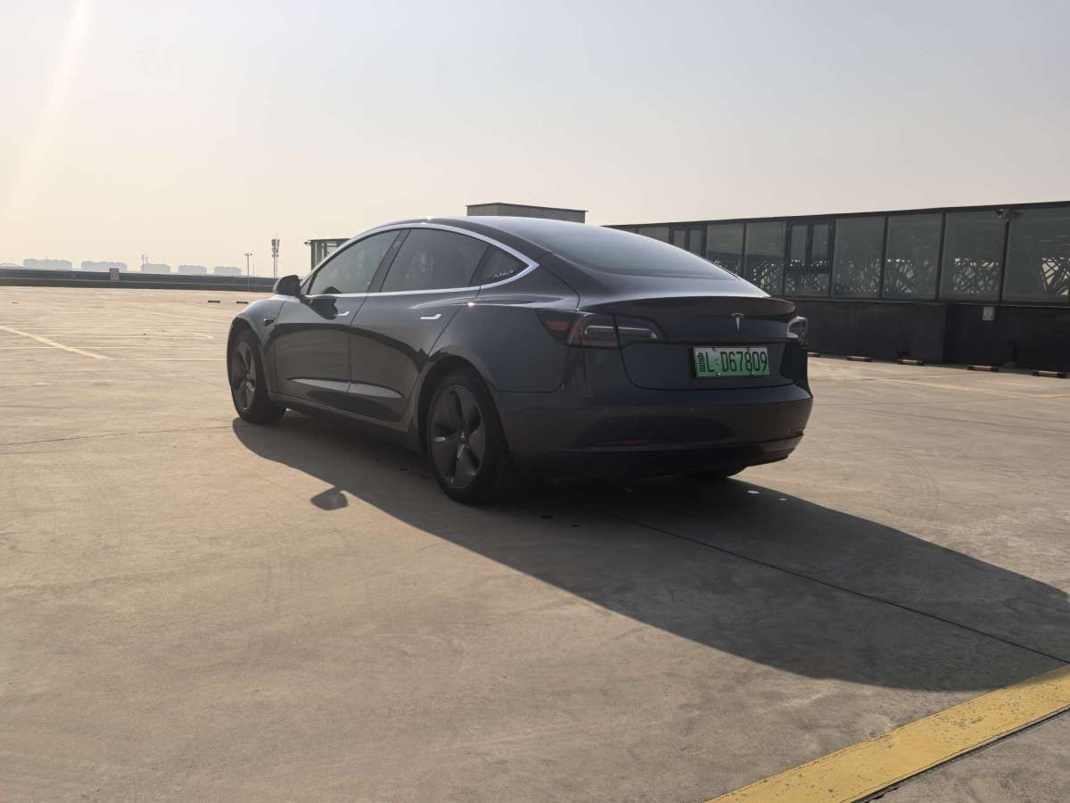 特斯拉 Model 3  2019款 長續(xù)航后驅(qū)版圖片