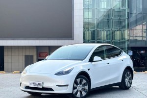 Model Y 特斯拉 改款二 長續(xù)航全輪驅(qū)動(dòng)版