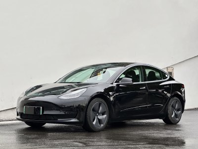 2021年1月 特斯拉 Model 3 改款 標準續(xù)航后驅升級版圖片