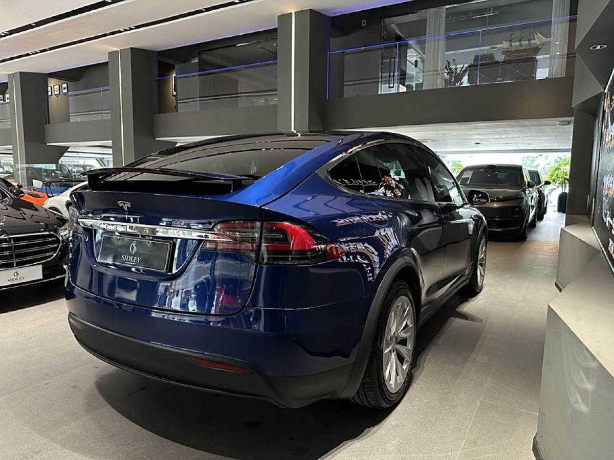 2018年8月特斯拉 Model X  2017款 Model X 100D 長(zhǎng)續(xù)航版