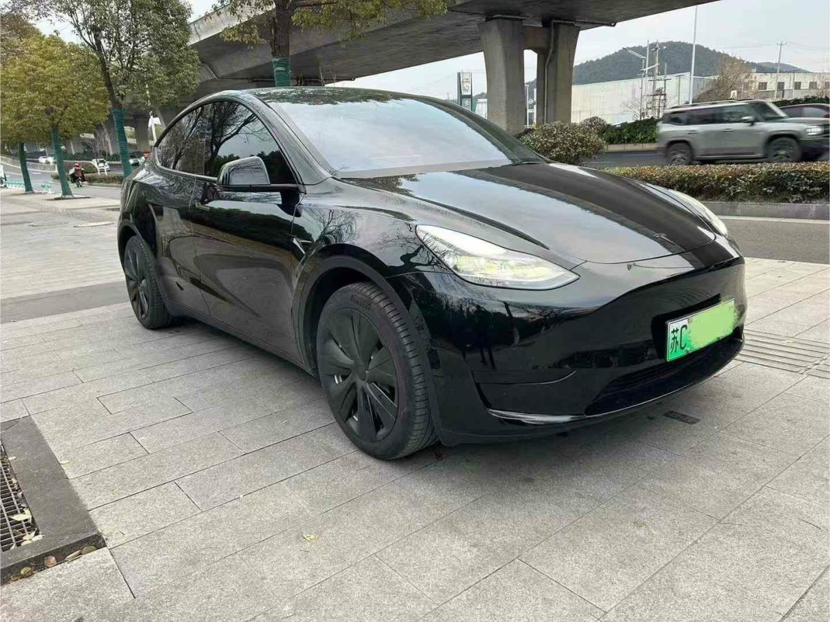 特斯拉 Model 3  2022款 Performance高性能全輪驅(qū)動版圖片