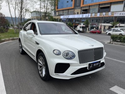 2023年10月 賓利 添越 4.0T V8圖片