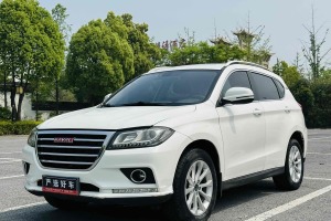 H2 哈弗 紅標(biāo) 1.5T 自動(dòng)兩驅(qū)精英型