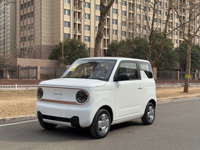 2025年2月 吉利 熊貓mini 200km 耐力熊圖片