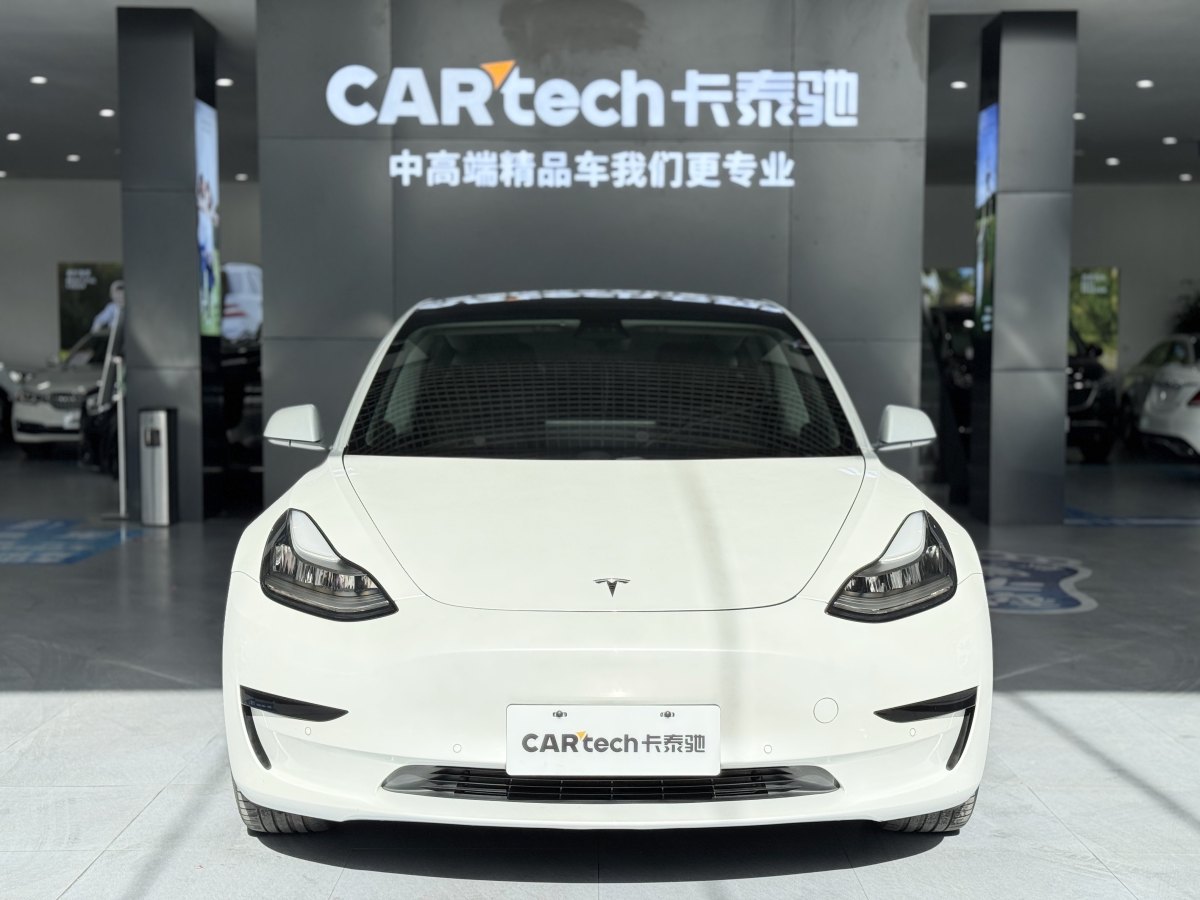 特斯拉 Model 3  2019款 長續(xù)航后驅(qū)版圖片