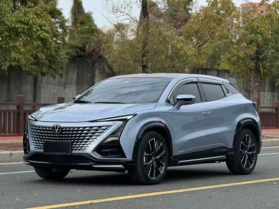 2023年9月 長(zhǎng)安跨越 跨越星V7EV 250km 掀背門(mén)智享型 2座圖片