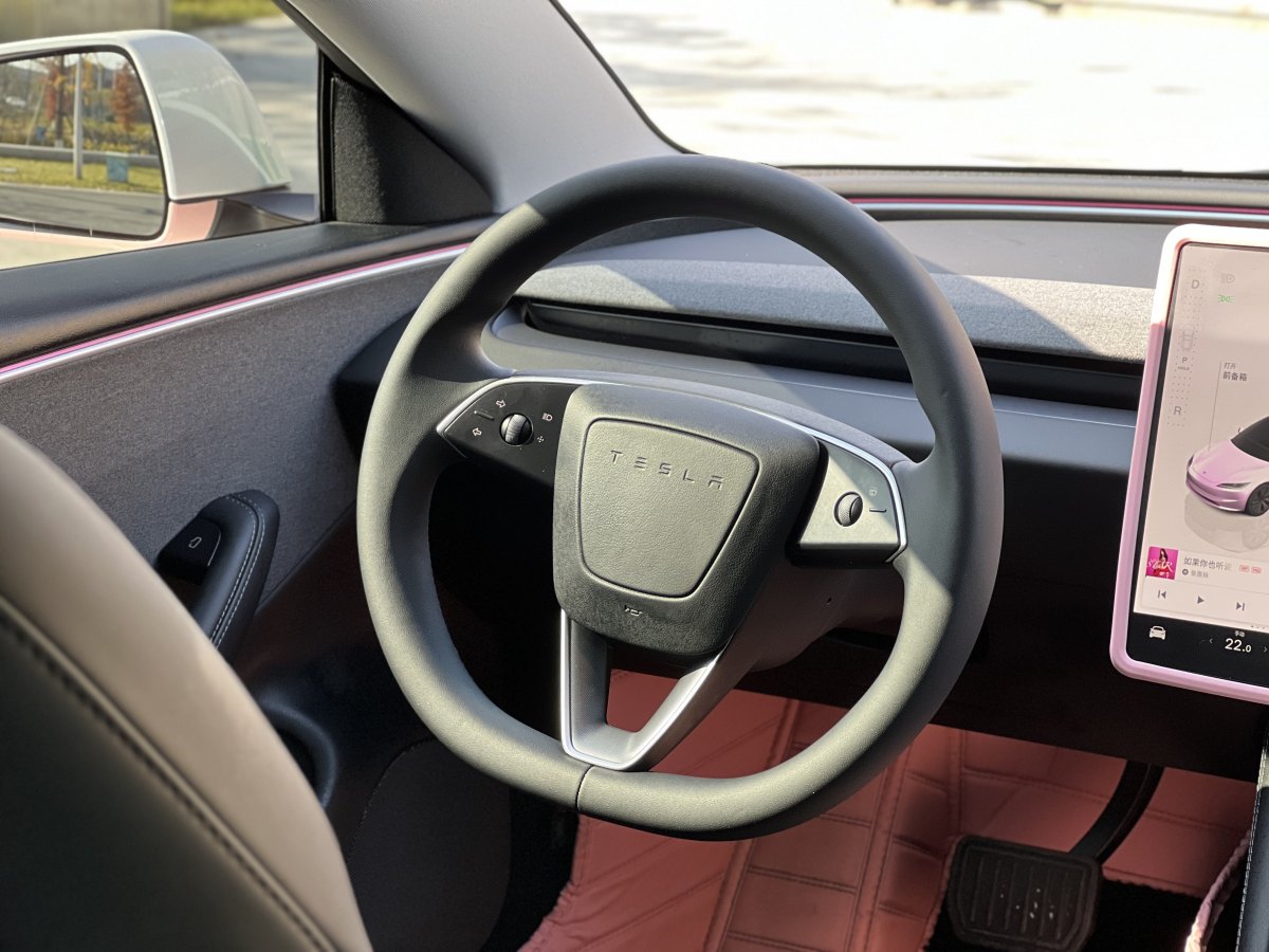 特斯拉 Model Y  2023款 后輪驅(qū)動版圖片