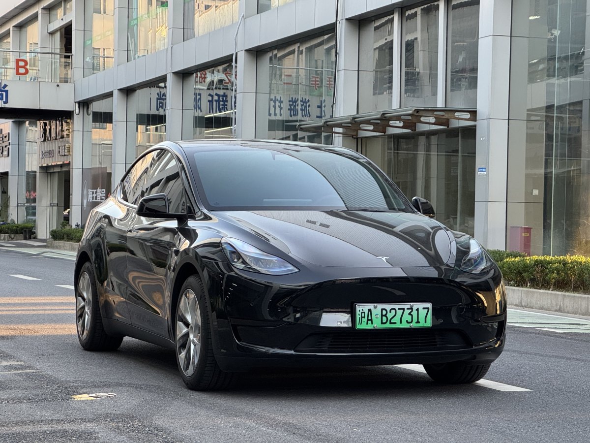 特斯拉 Model Y  2020款 改款 長(zhǎng)續(xù)航后輪驅(qū)動(dòng)版圖片