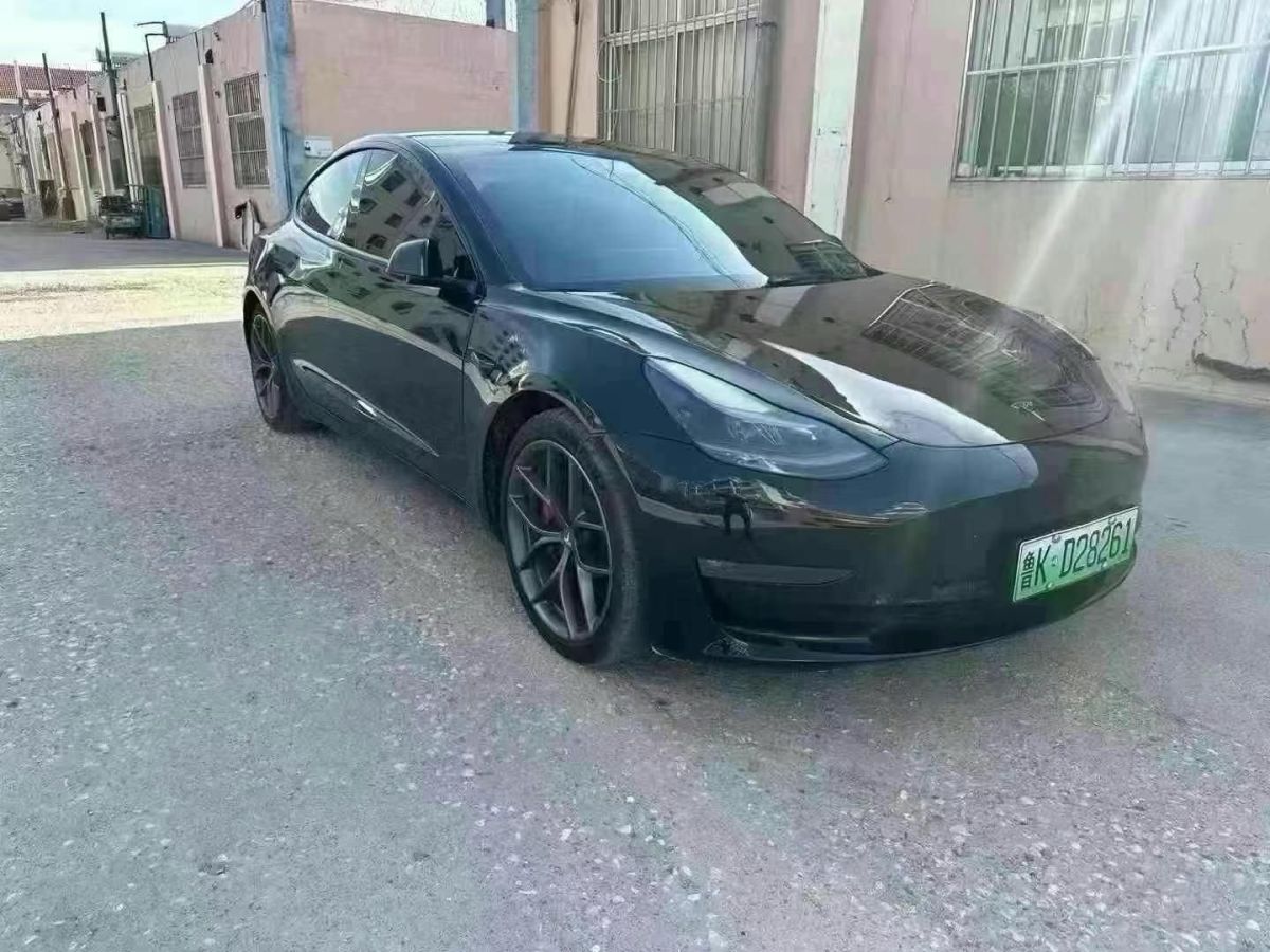 特斯拉 Model S  2021款 Performance 高性能版圖片