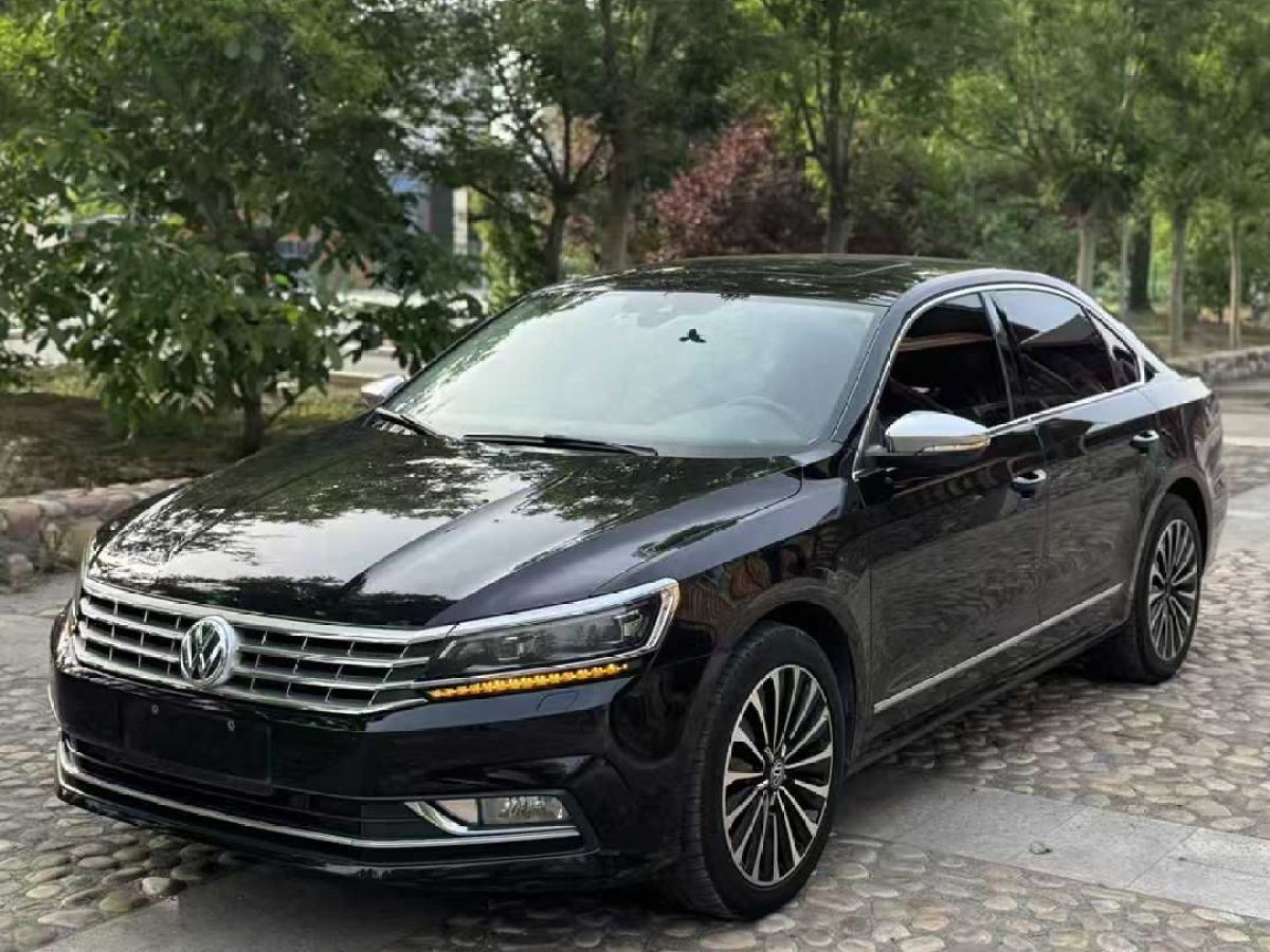 大眾 帕薩特  2016款 280TSI DSG尊榮版圖片