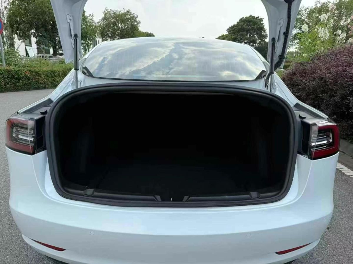 特斯拉 Model X  2020款 Performance 高性能版圖片