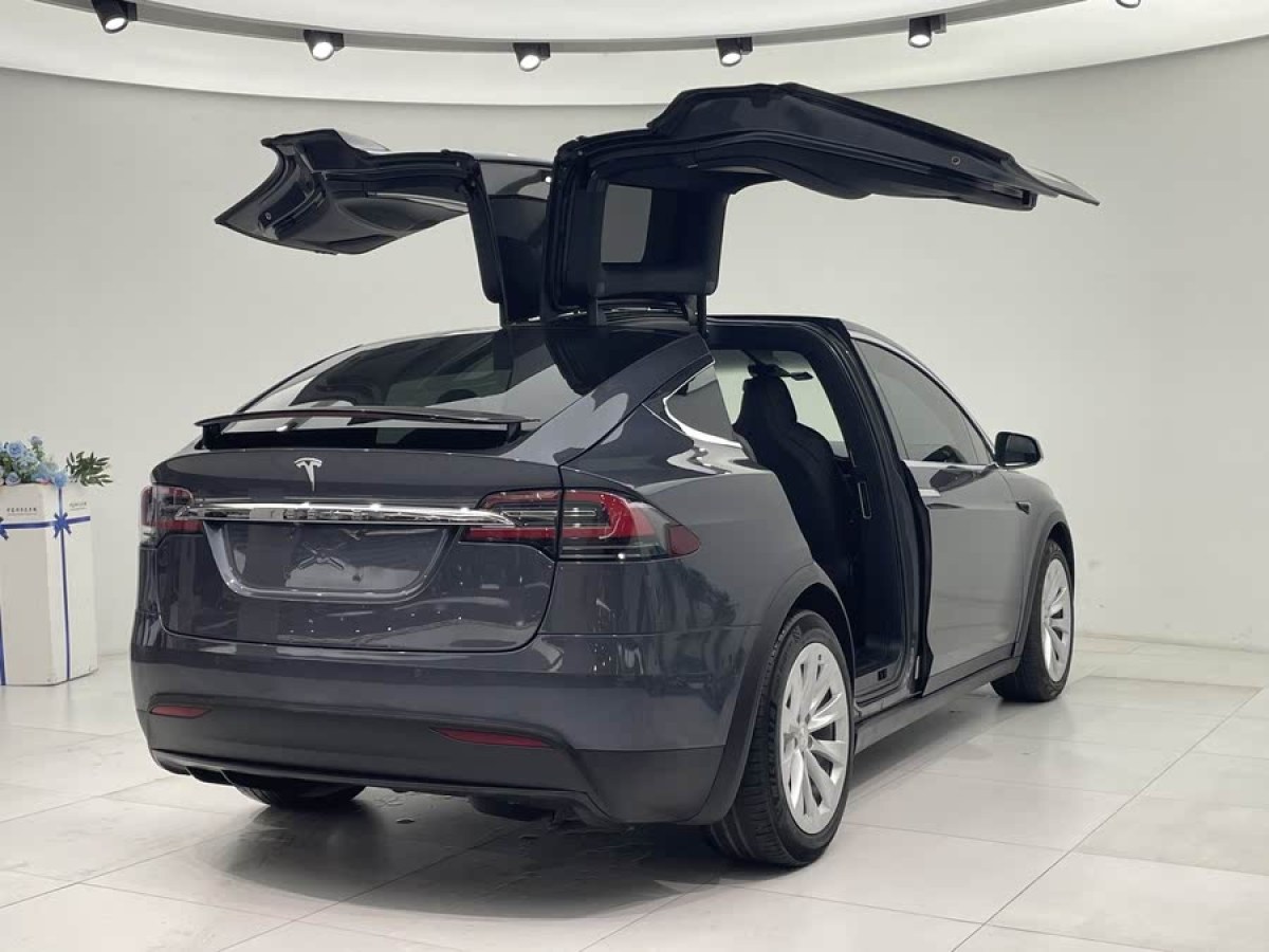 特斯拉 Model X  2016款 Model X 75D圖片