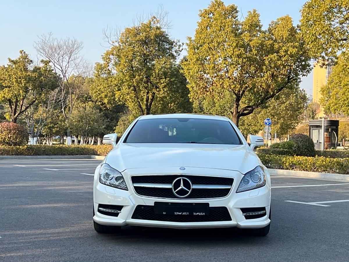 奔馳 奔馳CLS級(jí)  2012款 CLS 300 CGI圖片