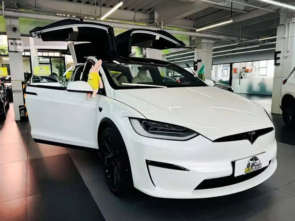 特斯拉 Model X  2023款 雙電機(jī)全輪驅(qū)動(dòng)版圖片