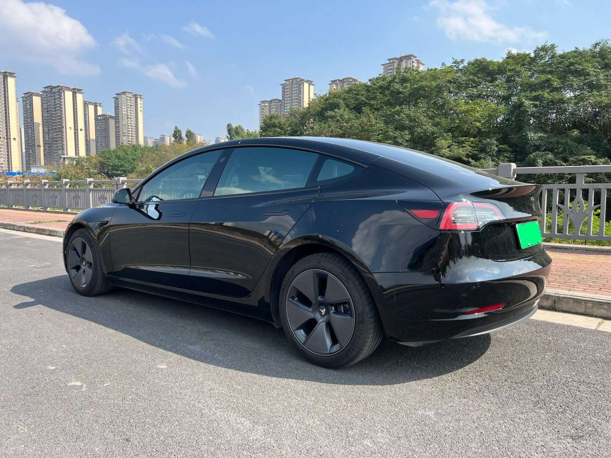 特斯拉 Model 3  2021款 标准续航后驱版图片