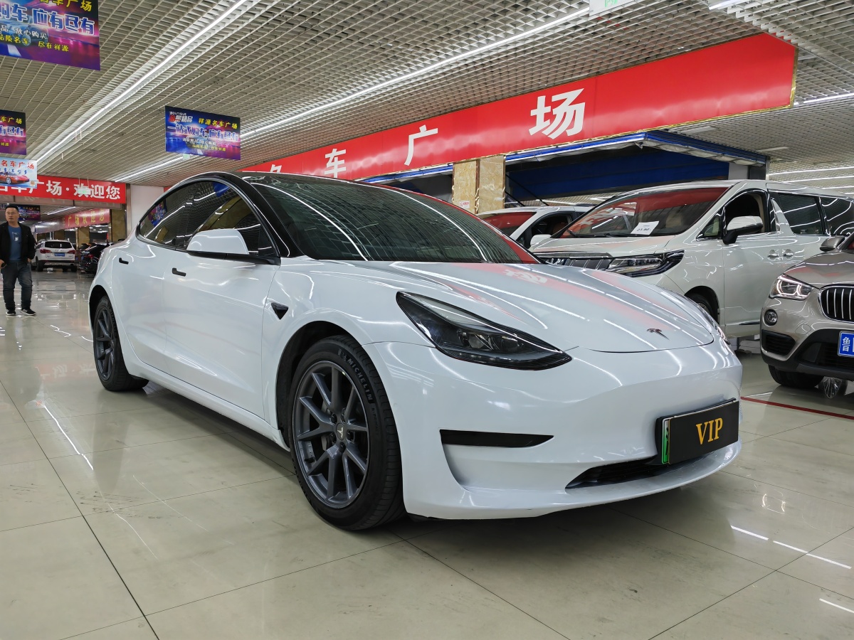 特斯拉 Model 3  2019款 標(biāo)準(zhǔn)續(xù)航后驅(qū)升級(jí)版圖片