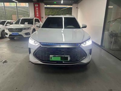 2022年1月 比亞迪 宋MAX新能源 DM-i 105KM 尊榮型圖片