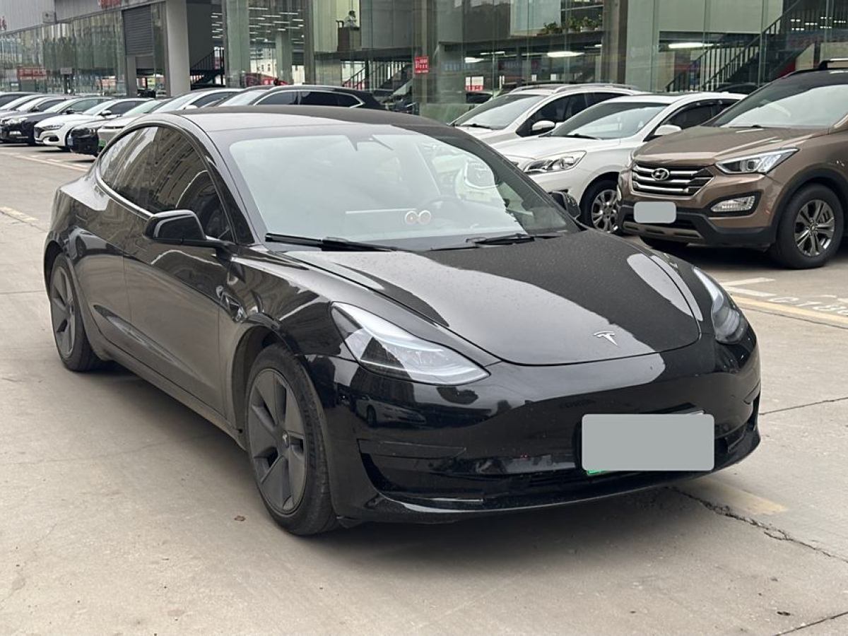 特斯拉 Model 3  2019款 標(biāo)準(zhǔn)續(xù)航后驅(qū)升級(jí)版圖片