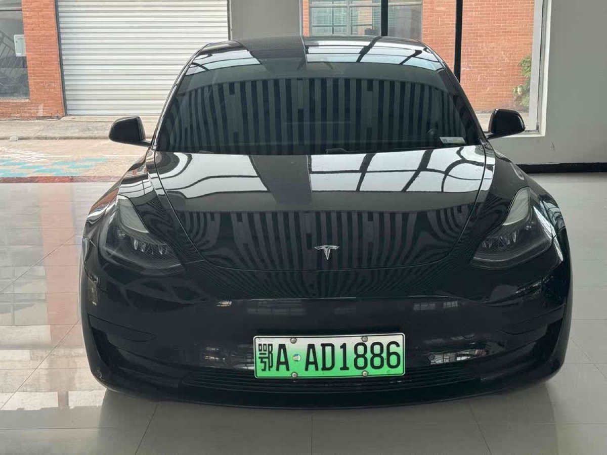特斯拉 Model 3  2021款 改款 標準續(xù)航后驅升級版圖片