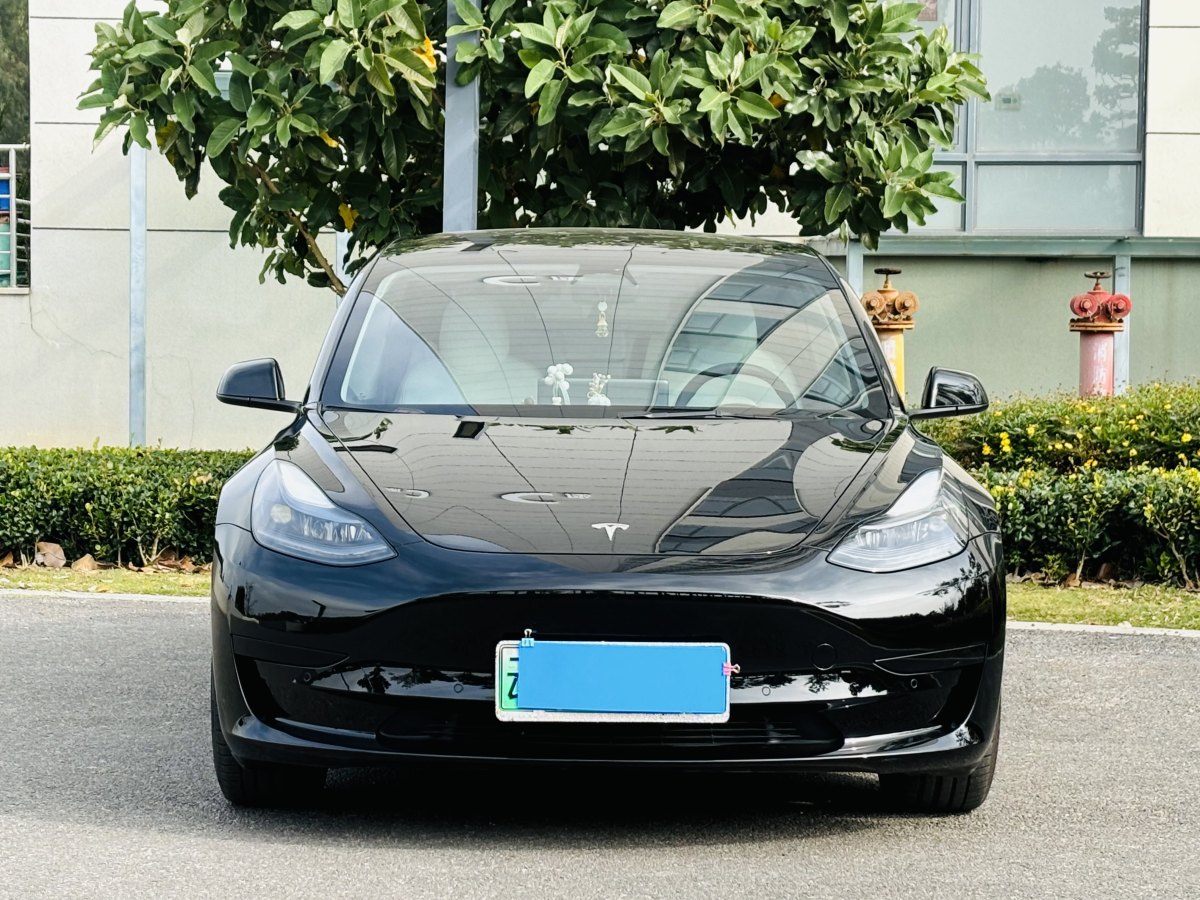 特斯拉 Model 3  2022款 改款 后輪驅(qū)動(dòng)版圖片