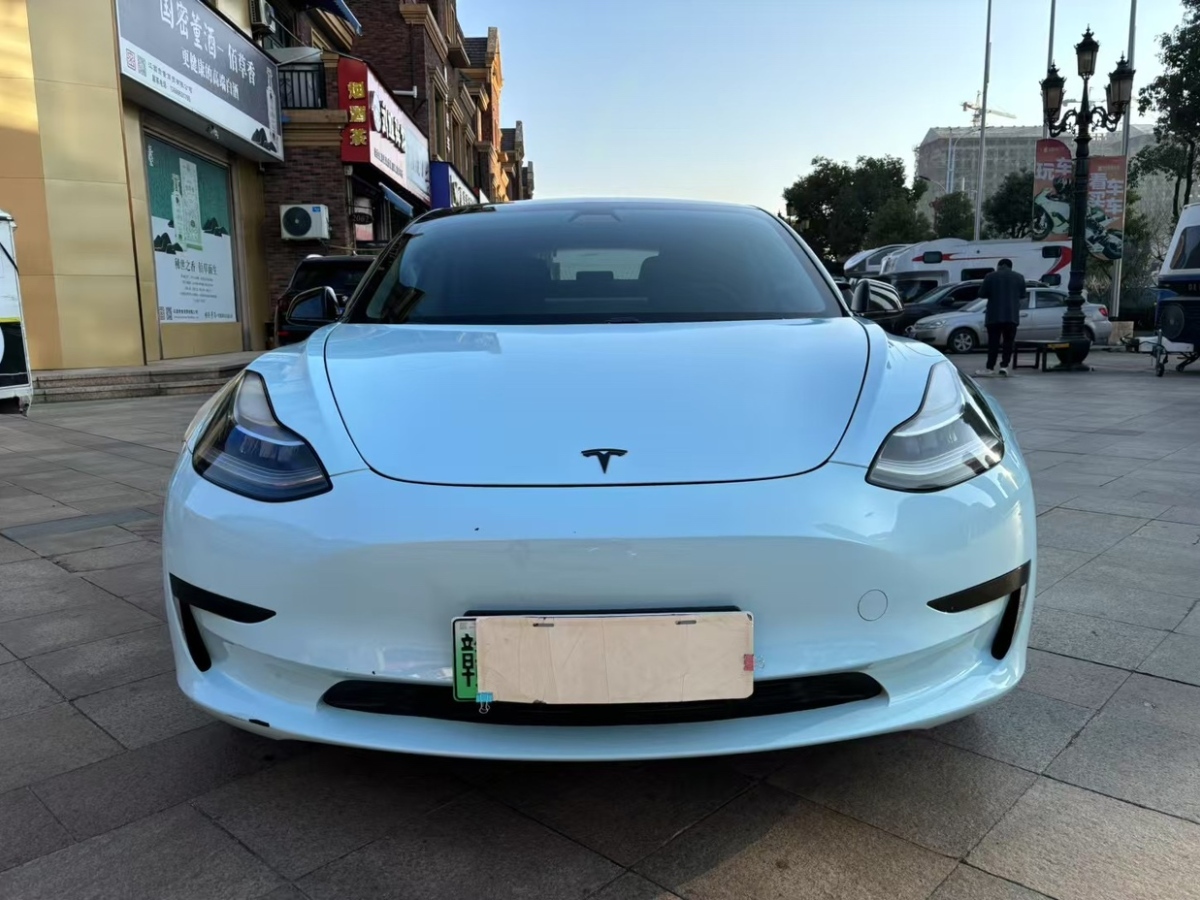 特斯拉 Model 3  2019款 標準續(xù)航后驅升級版圖片