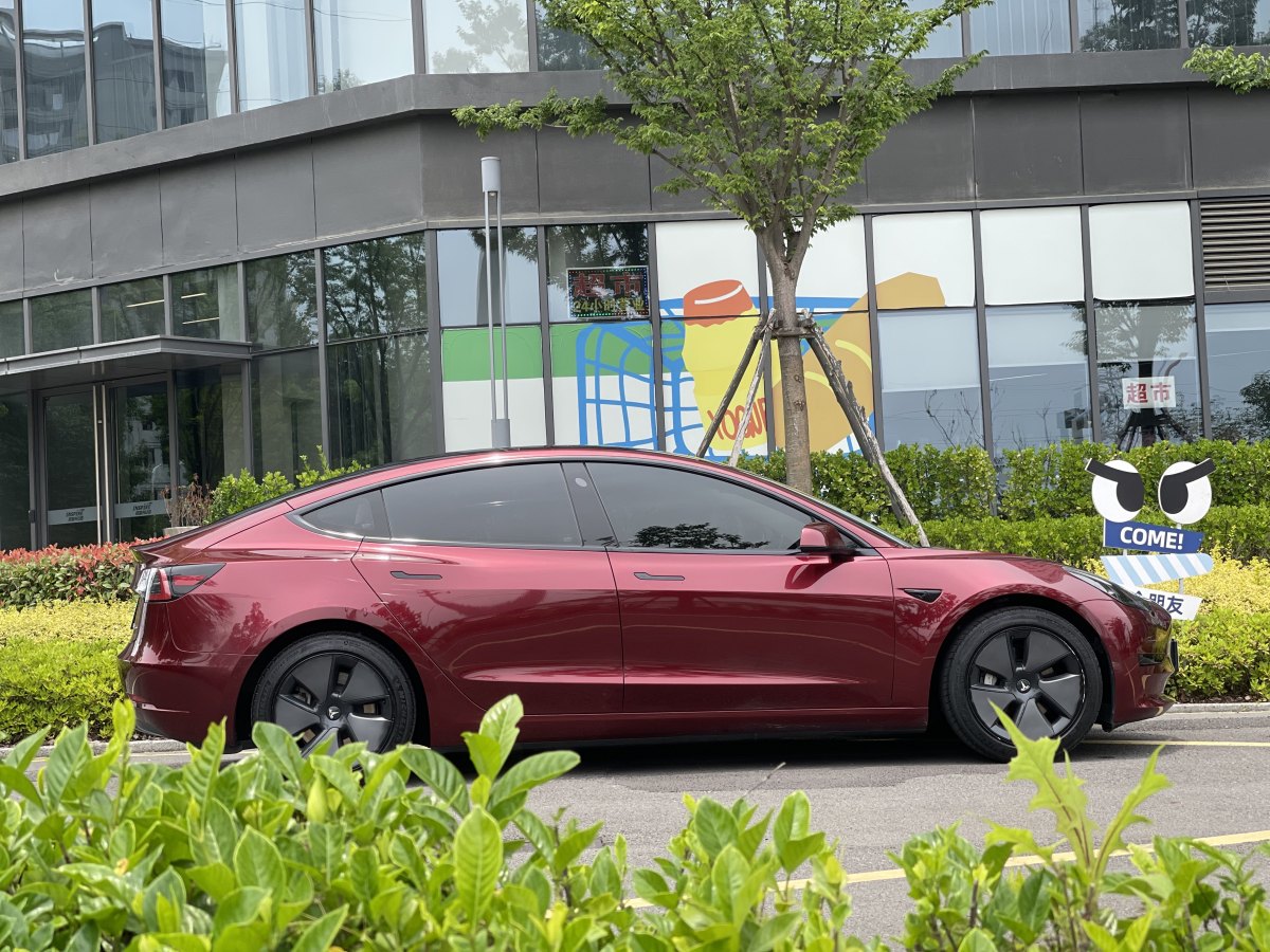 特斯拉 Model 3  2020款 改款 標準續(xù)航后驅升級版圖片