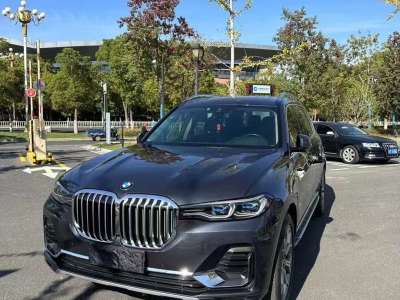 2019年6月 宝马 宝马X7(进口) xDrive40i 个性化定制限量版 M运动套装图片