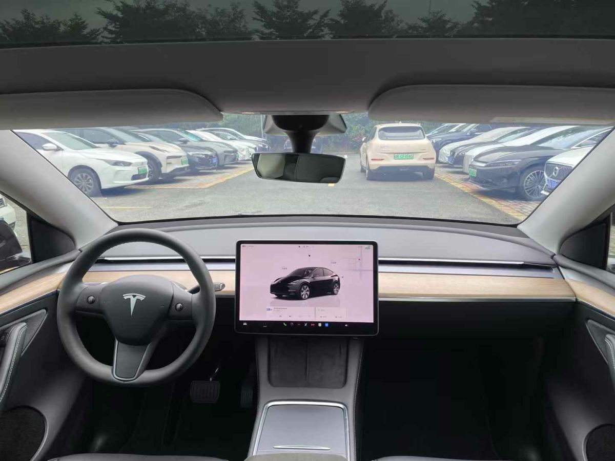 特斯拉 Model 3  2022款 Performance高性能全輪驅(qū)動版圖片