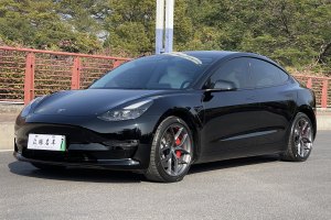 Model Y 特斯拉 Performance高性能全輪驅(qū)動(dòng)版