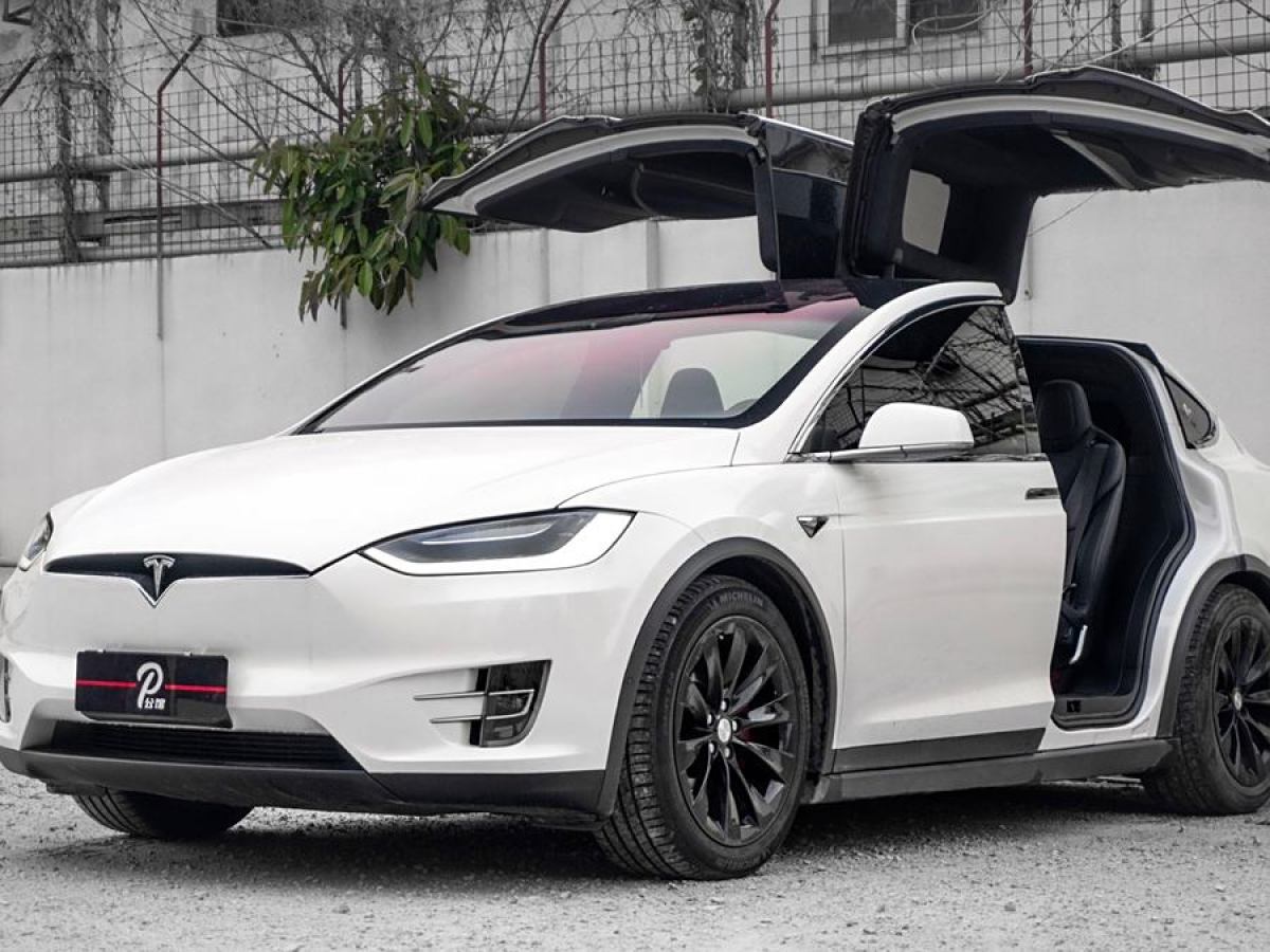 2019年10月特斯拉 Model X  2019款 長續(xù)航版