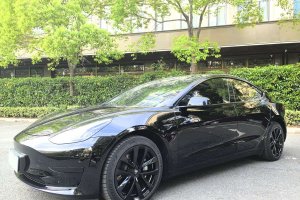 Model 3 特斯拉 煥新版 后輪驅(qū)動