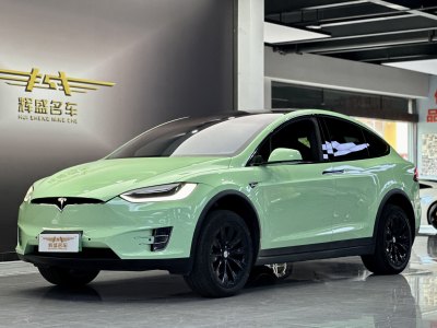 2017年1月 特斯拉 Model X Model X 90D图片