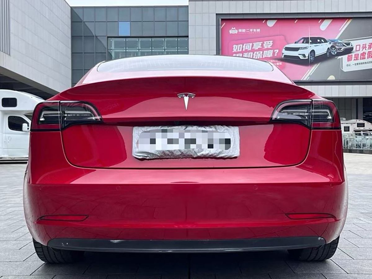 特斯拉 Model Y  2020款 改款 標準續(xù)航后驅(qū)升級版圖片