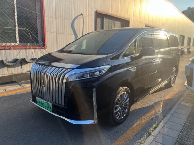 2025年1月 長城 高山 四驅行政加長版圖片