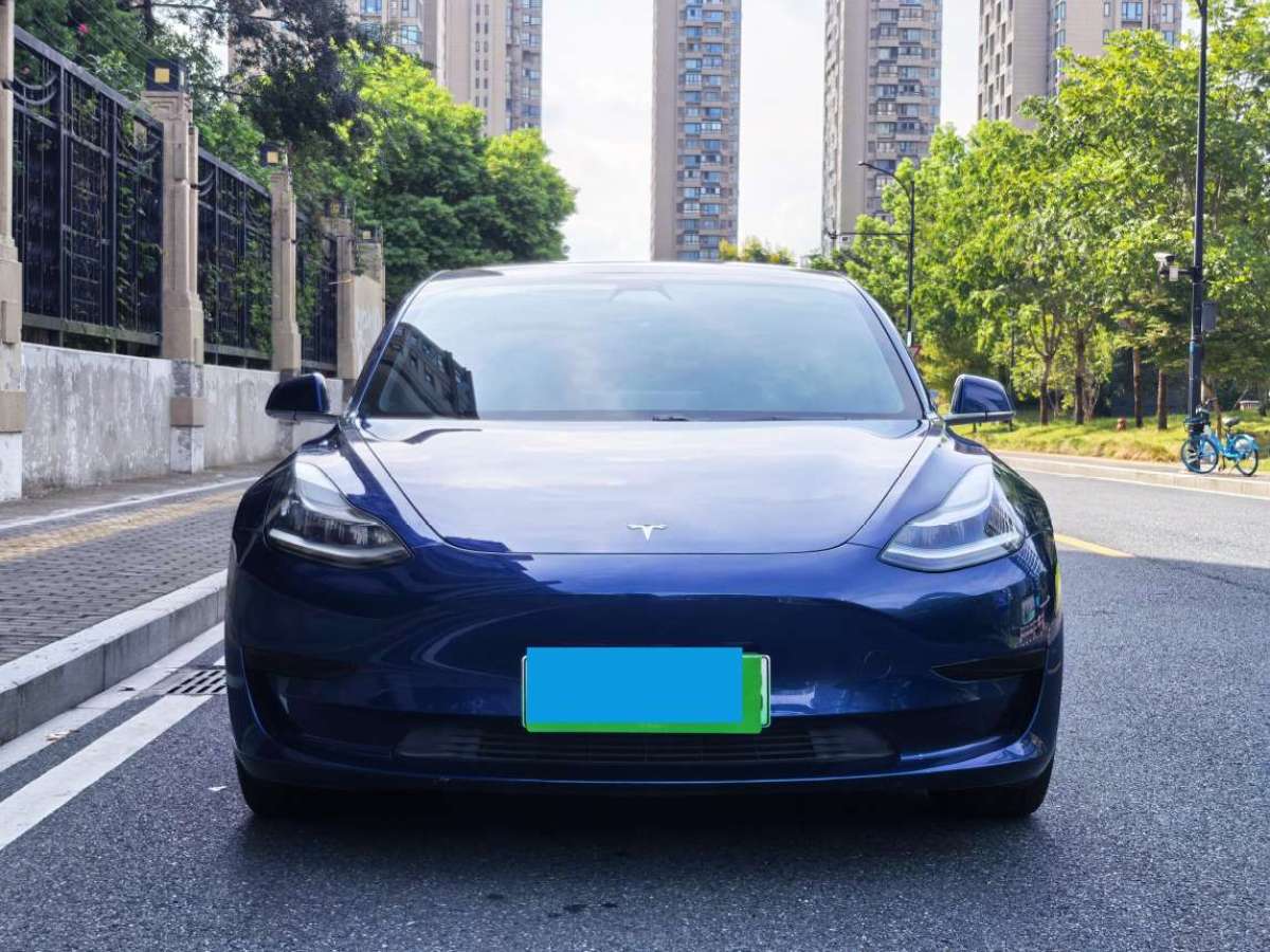 特斯拉 Model 3  2019款 标准续航后驱升级版图片