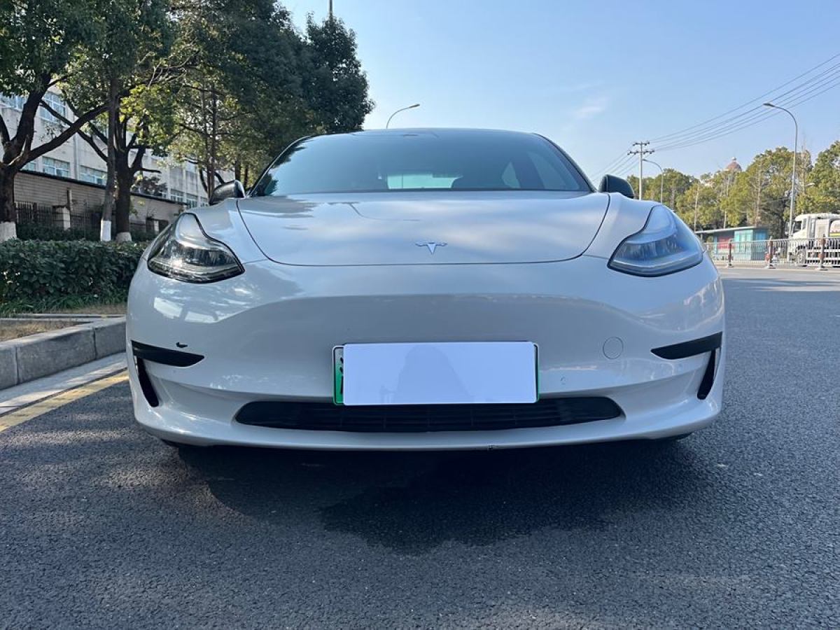 特斯拉 Model 3  2020款 改款 標(biāo)準(zhǔn)續(xù)航后驅(qū)升級(jí)版圖片