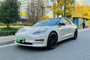 Model 3 特斯拉 长续航后驱版