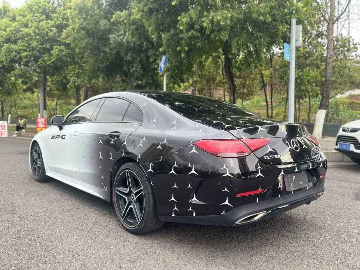 奔馳 奔馳CLS級  2020款 CLS 300 動感型圖片