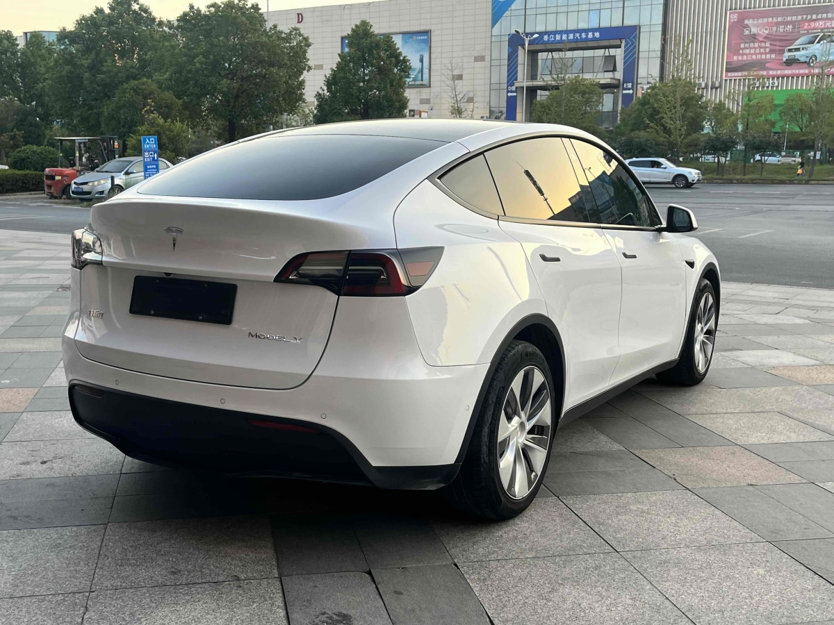 2021年11月特斯拉 Model Y  2021款 改款 標(biāo)準(zhǔn)續(xù)航后驅(qū)升級(jí)版