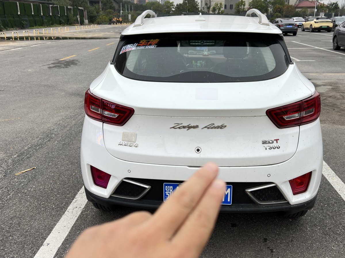 眾泰 T300  2019款 1.5L 手動小強版圖片