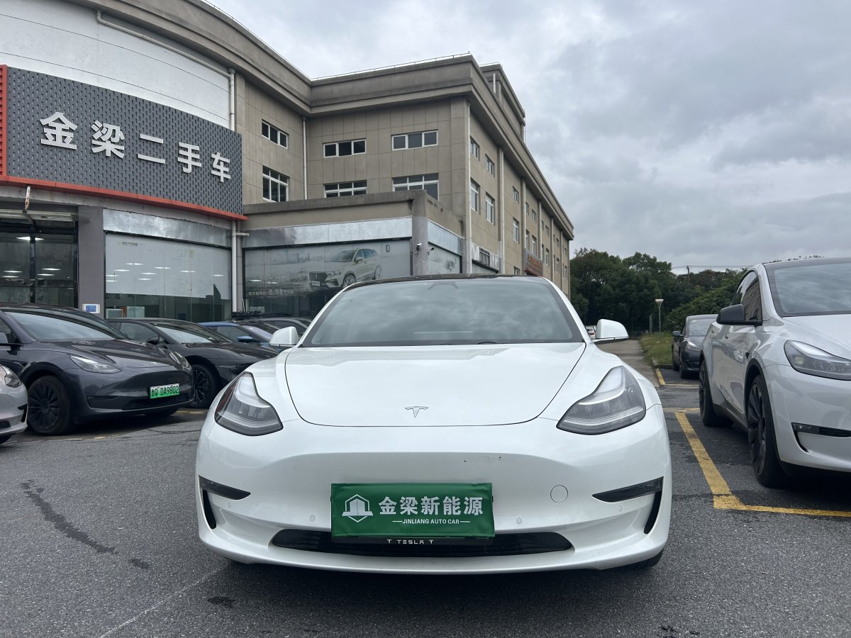 特斯拉 Model 3  2019款 長續(xù)航后驅(qū)版圖片