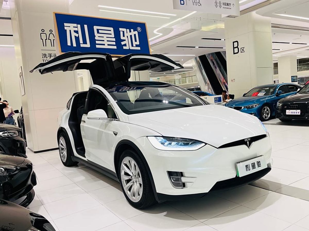 特斯拉 Model X  2019款 長續(xù)航版圖片