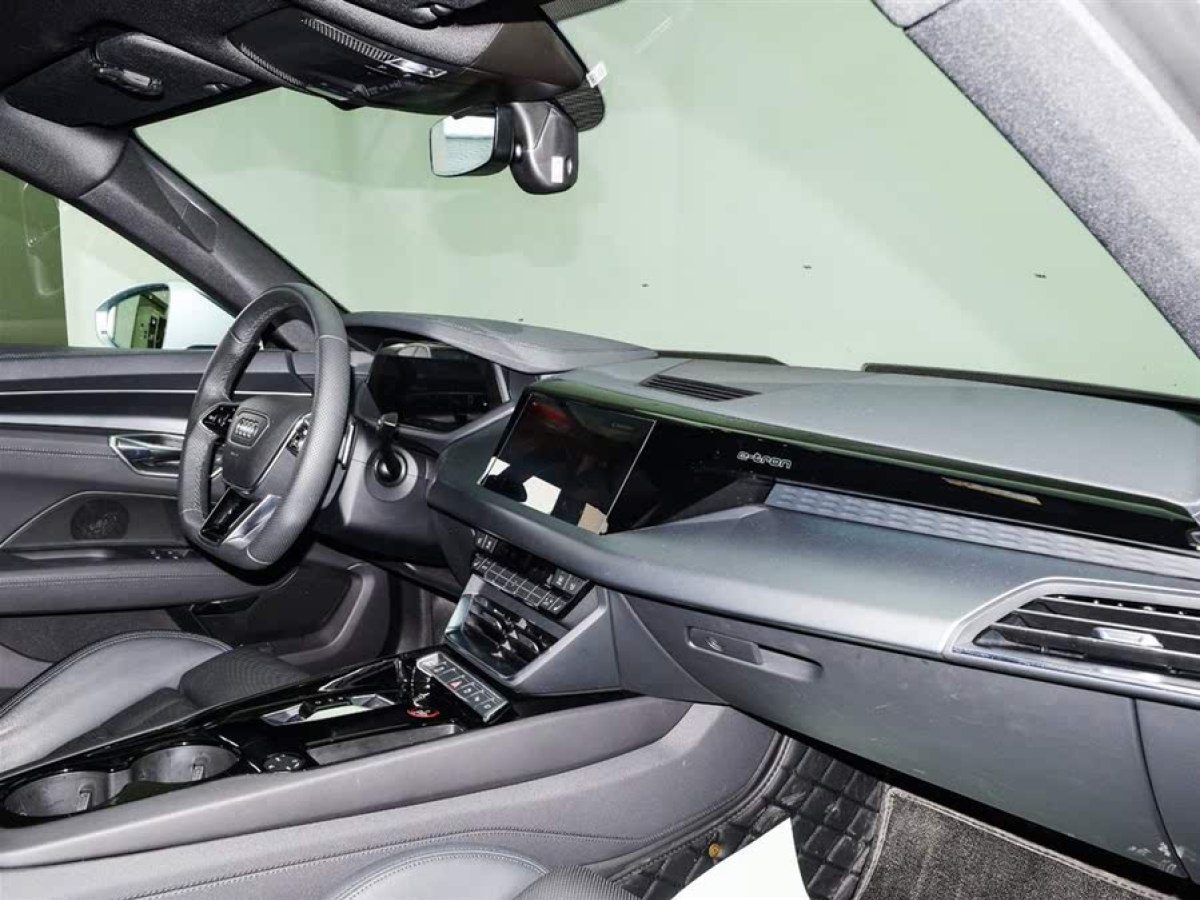 奧迪 奧迪Q5 e-tron  2023款 40 e-tron 閃耀型 機(jī)甲套裝圖片